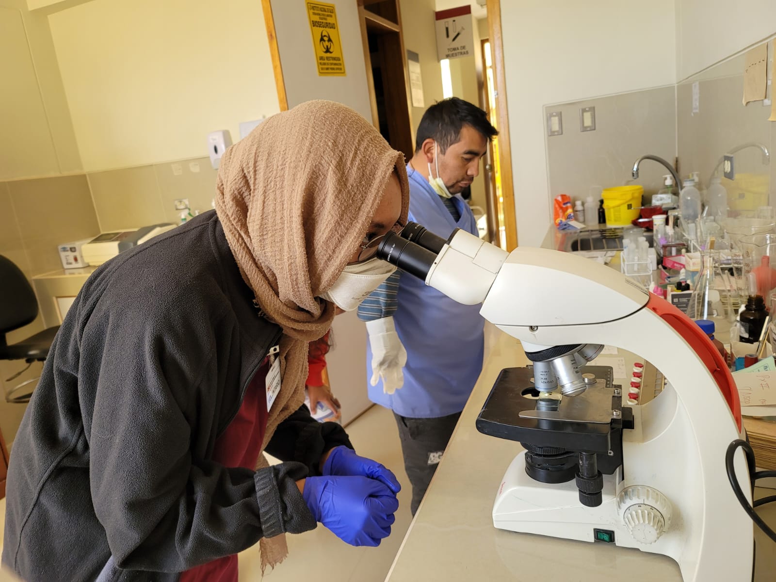 ASU student peers through a microscope in a laboratory 