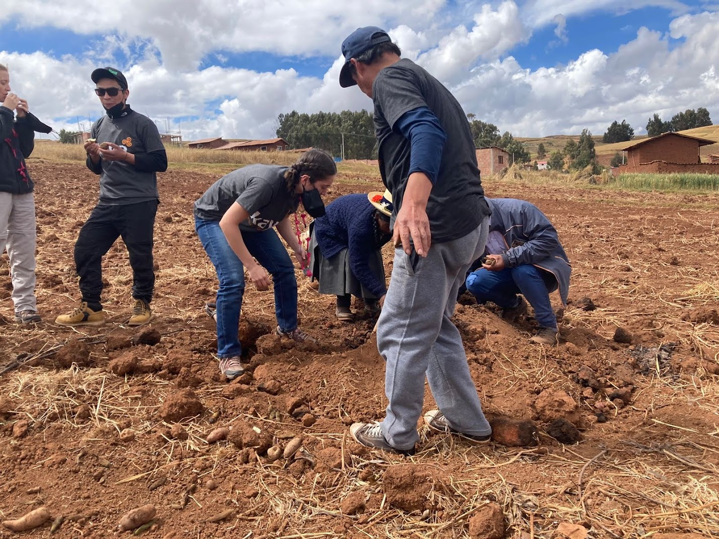 Students stand in a dirt field while their hosts pull food items such as potatoes from underground where they've been cooking.