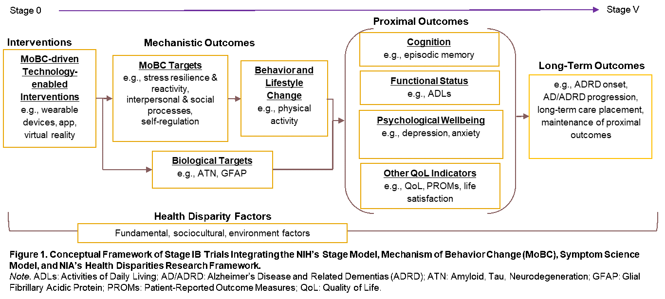 Diagram of the stages of IB Trials