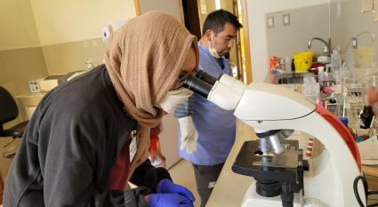 Aida Zaki looks in a microscope while a doctor looks at a sample in the background