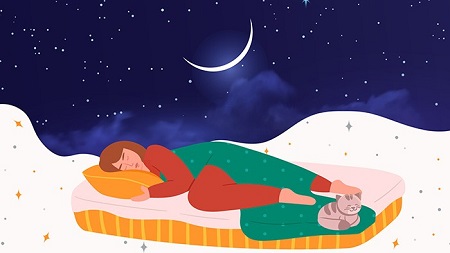 Cartoon of a woman sleeping in a bed with a cat